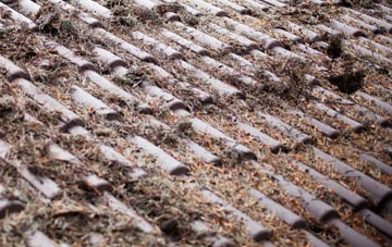 Quarrelton roof cleaning companies