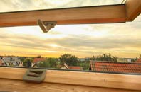 rated Quarrelton roof window companies